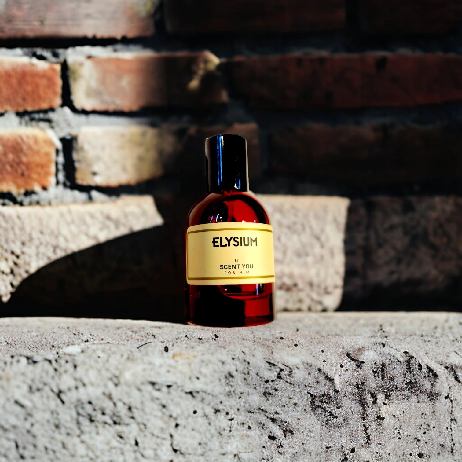 Elysium | Nearest Match to Elysium by Roja - Image 5